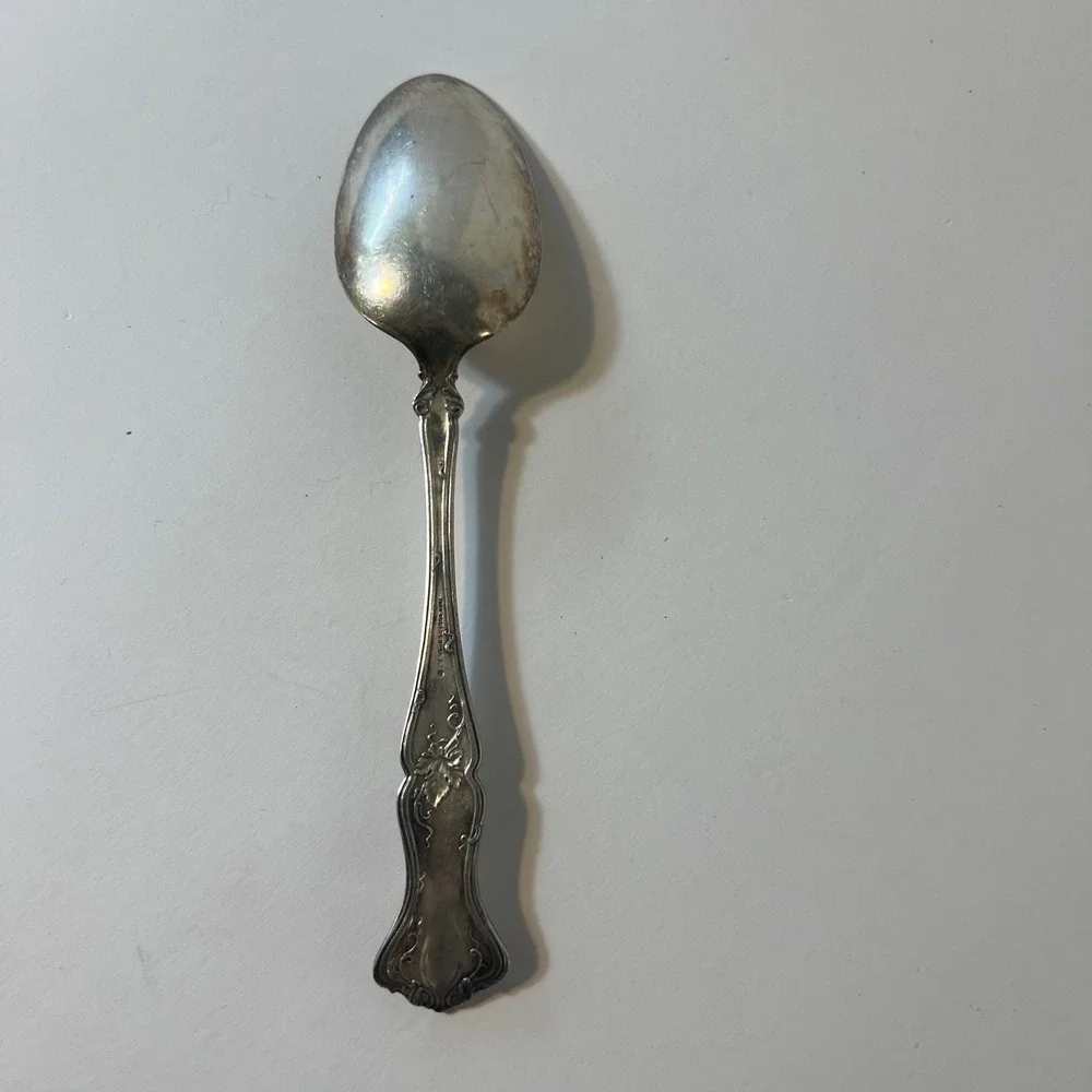 1847 Rogers Bros Vintage Grape Pattern A1 Silver Plated‎ Serving Spoon 8.25